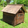 winter dog house